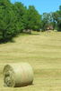 strobalen-quercy.jpg